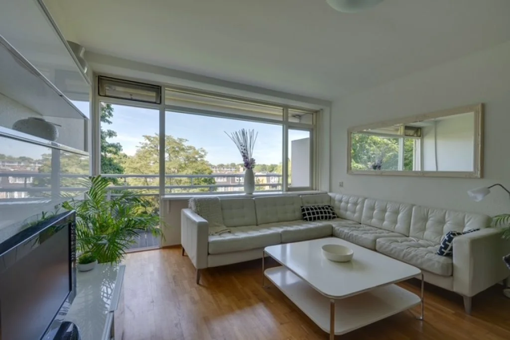 geblurde versie van de foto als achtergrond