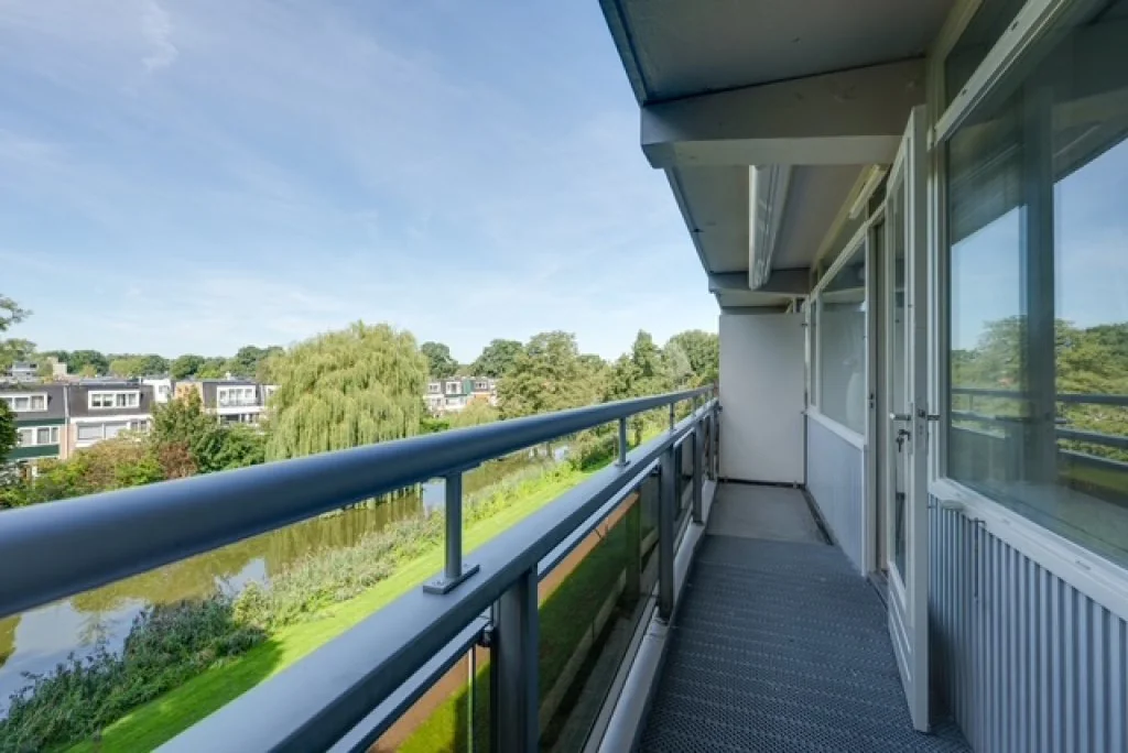 geblurde versie van de foto als achtergrond