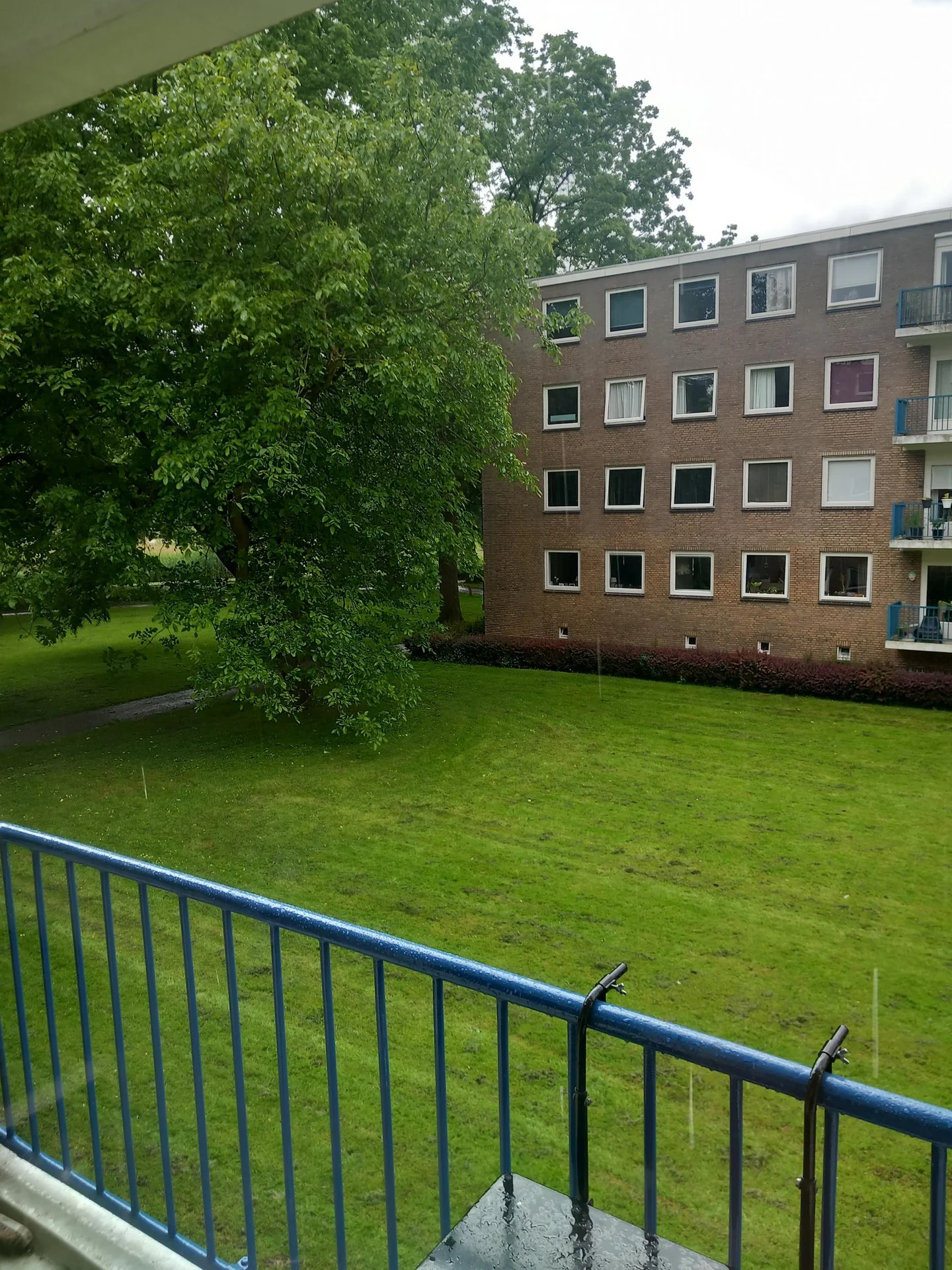 geblurde versie van de foto als achtergrond