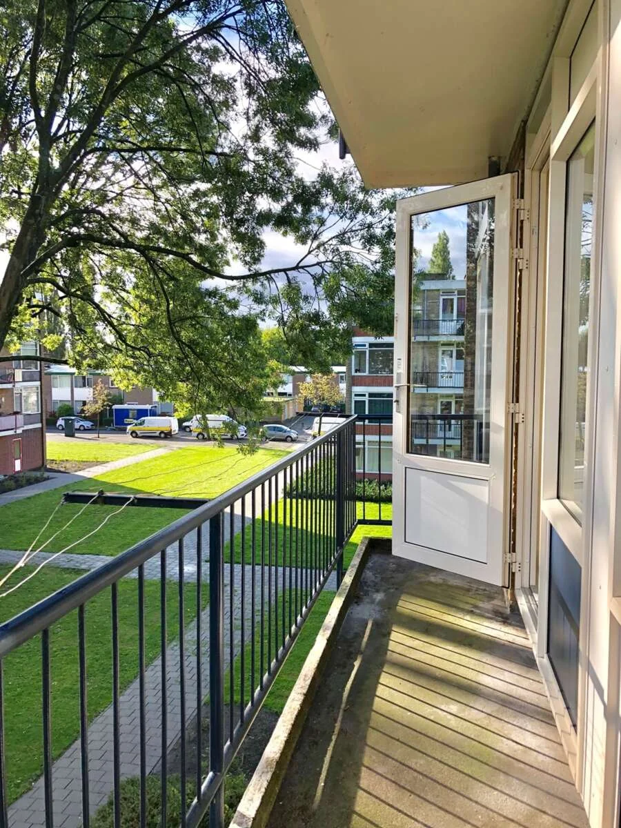 geblurde versie van de foto als achtergrond