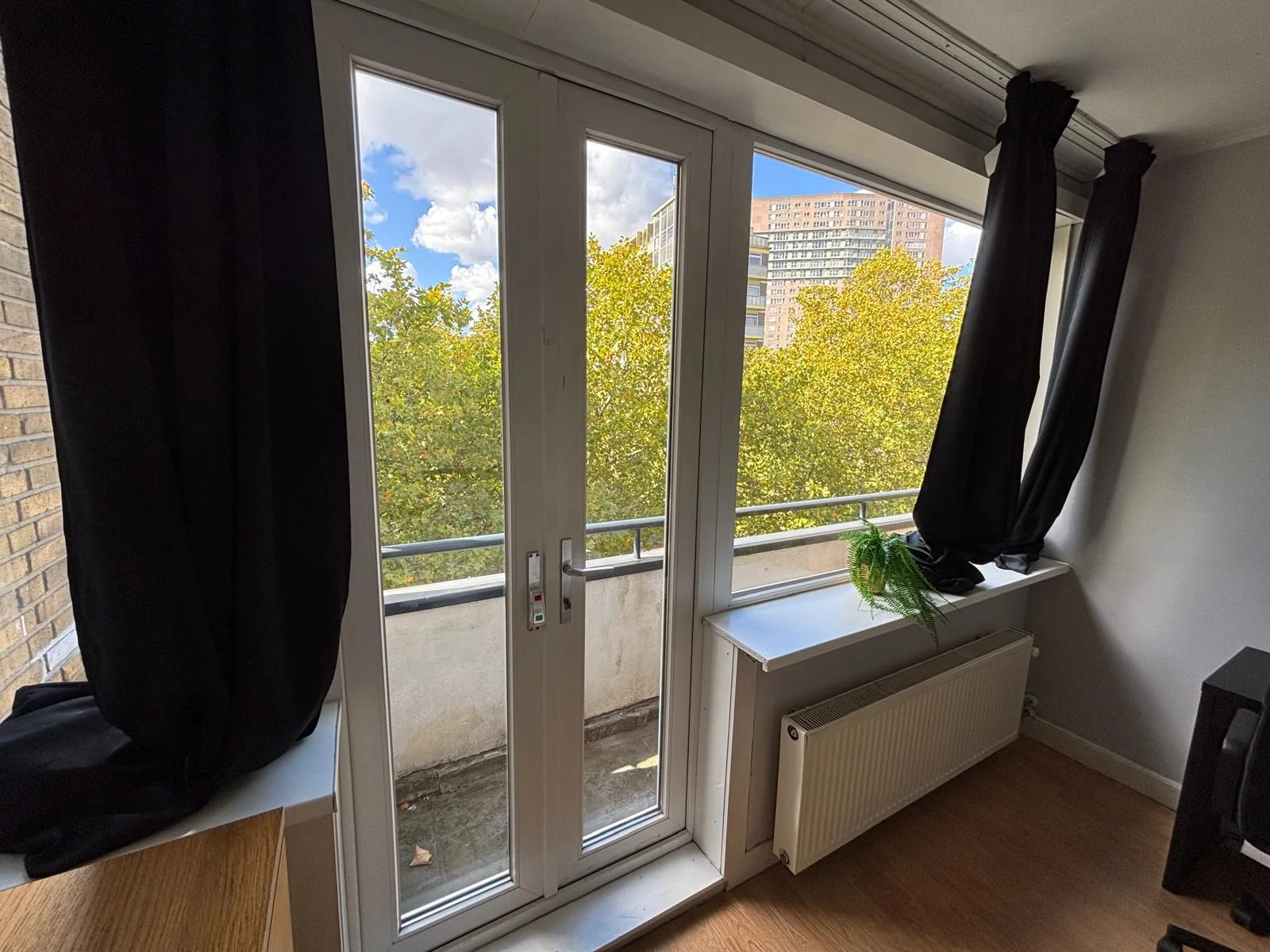 geblurde versie van de foto als achtergrond