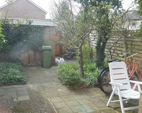 geblurde versie van de foto als achtergrond