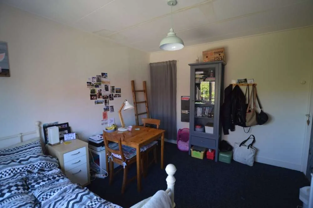 geblurde versie van de foto als achtergrond