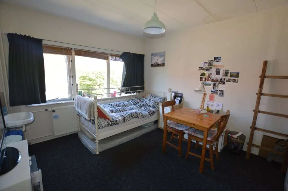 geblurde versie van de foto als achtergrond