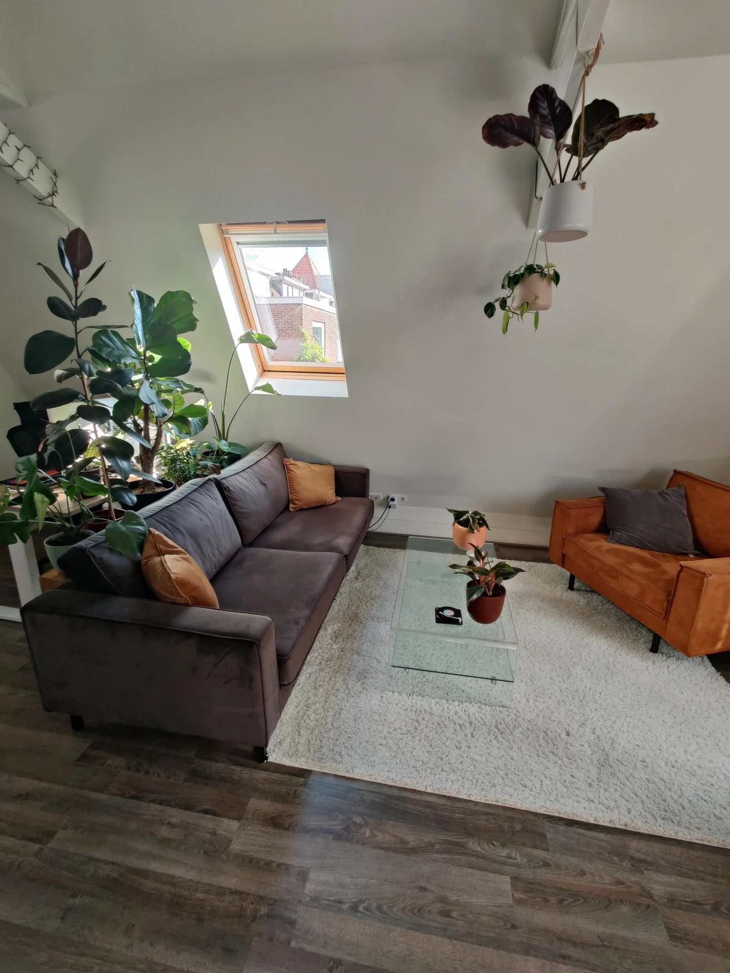 geblurde versie van de foto als achtergrond