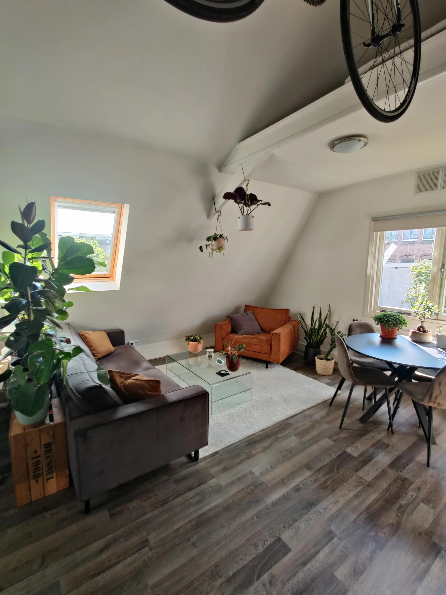 geblurde versie van de foto als achtergrond