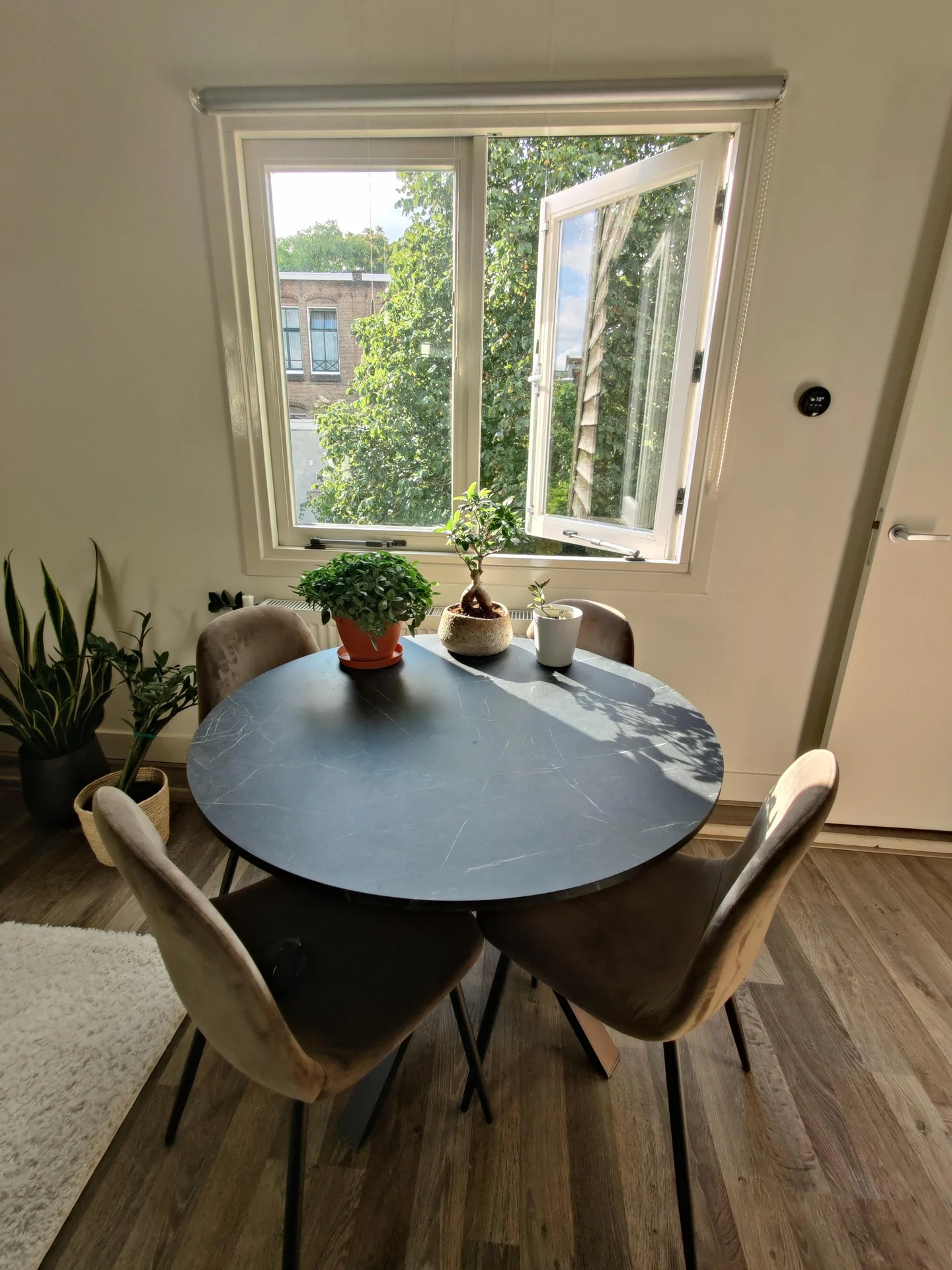 geblurde versie van de foto als achtergrond