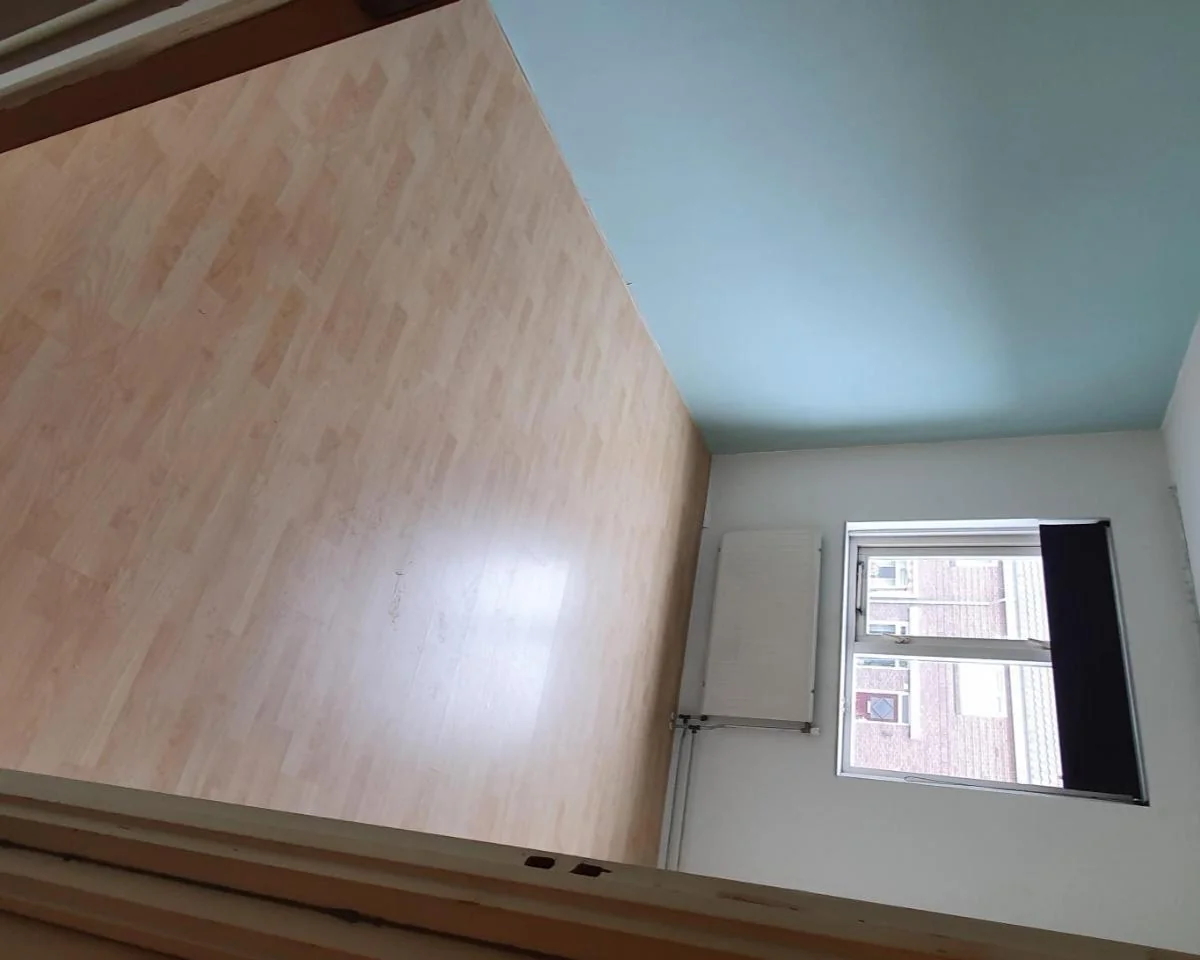 geblurde versie van de foto als achtergrond