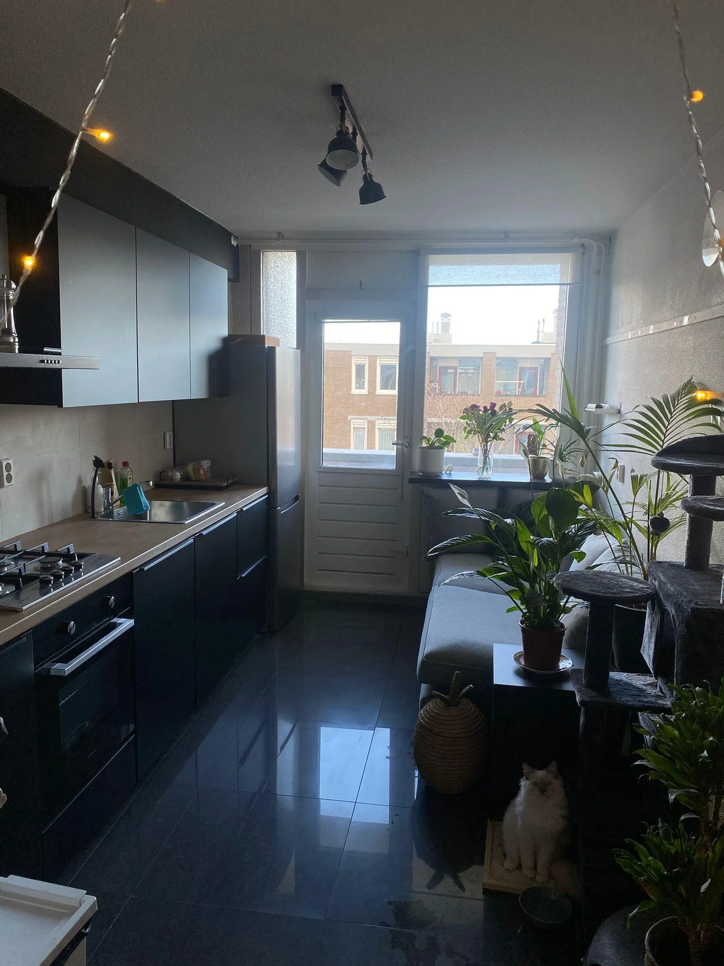 geblurde versie van de foto als achtergrond