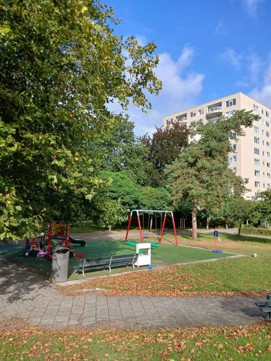 geblurde versie van de foto als achtergrond