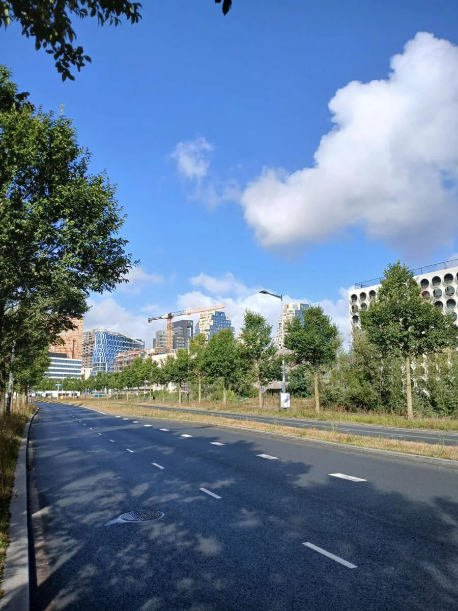 geblurde versie van de foto als achtergrond