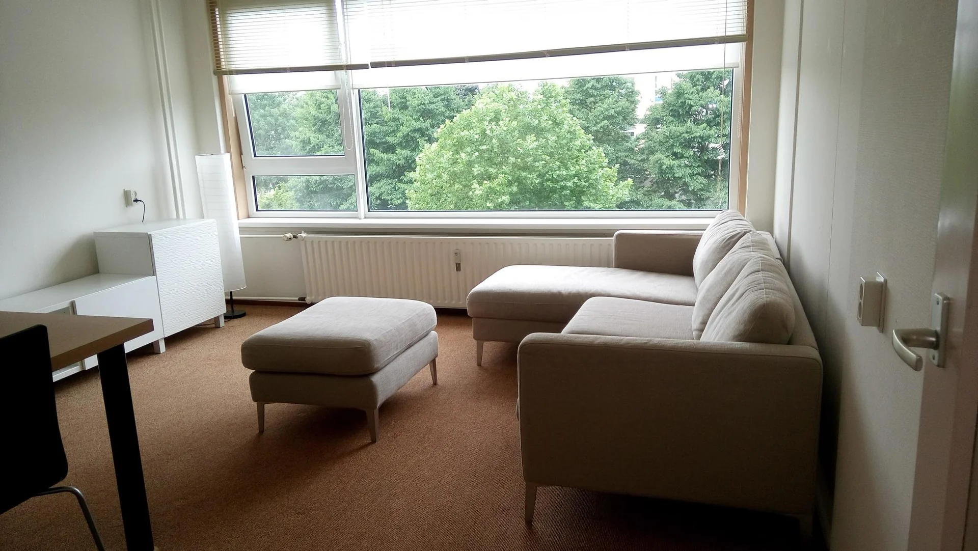 geblurde versie van de foto als achtergrond