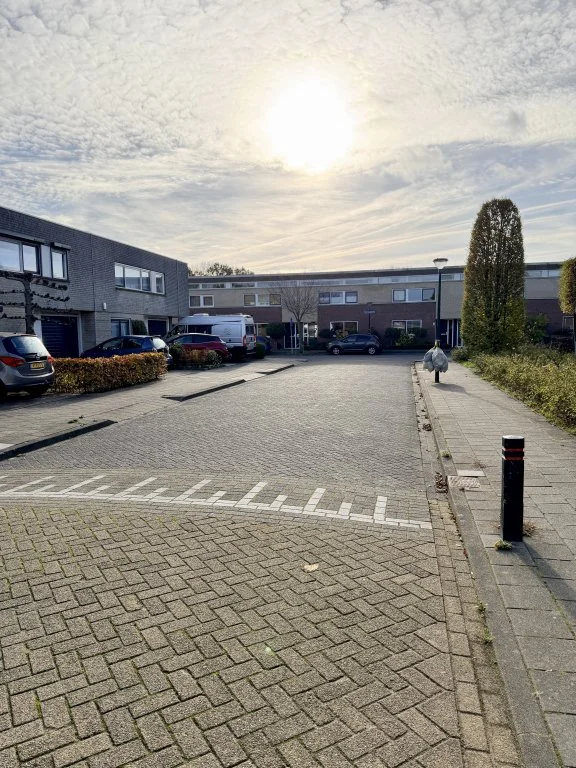 geblurde versie van de foto als achtergrond