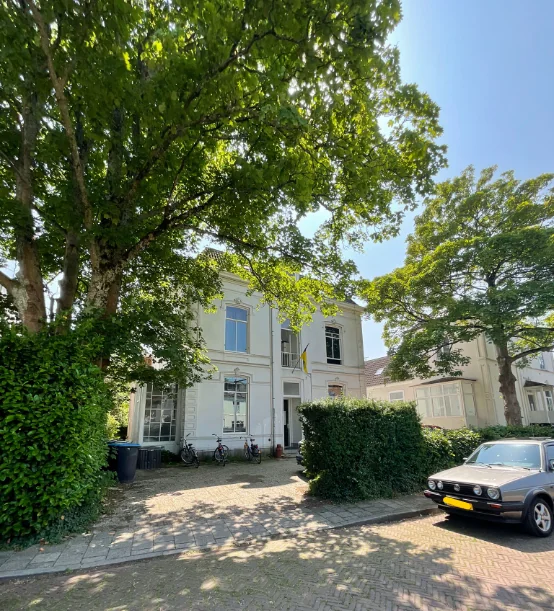 geblurde versie van de foto als achtergrond