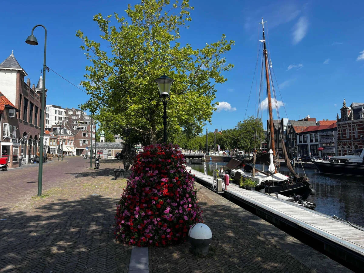 geblurde versie van de foto als achtergrond