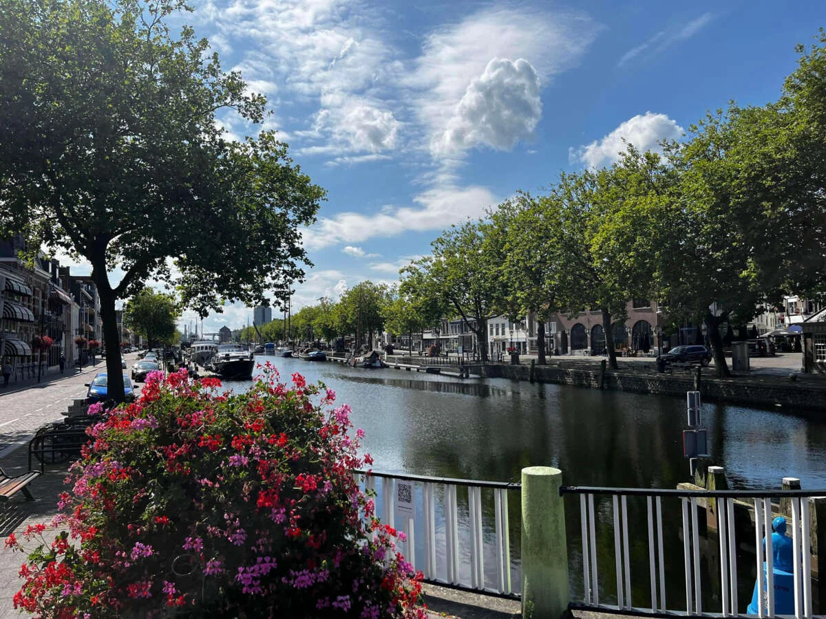 geblurde versie van de foto als achtergrond