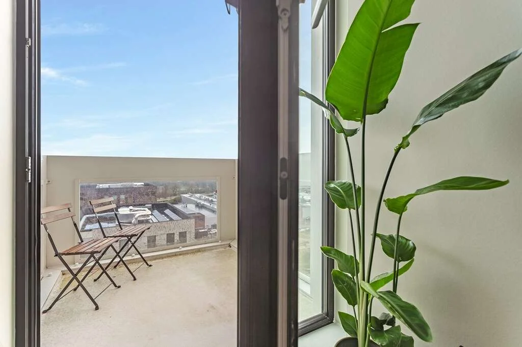 geblurde versie van de foto als achtergrond