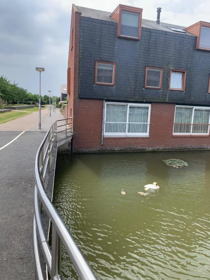 geblurde versie van de foto als achtergrond