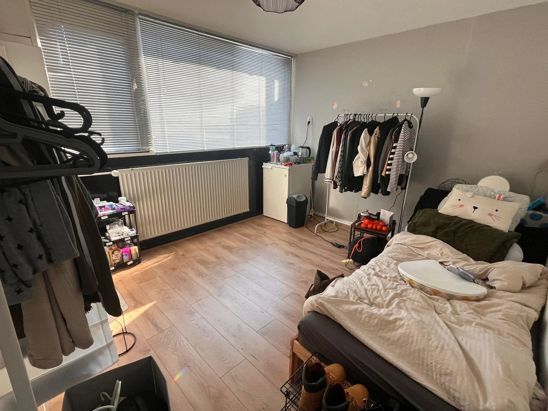 geblurde versie van de foto als achtergrond