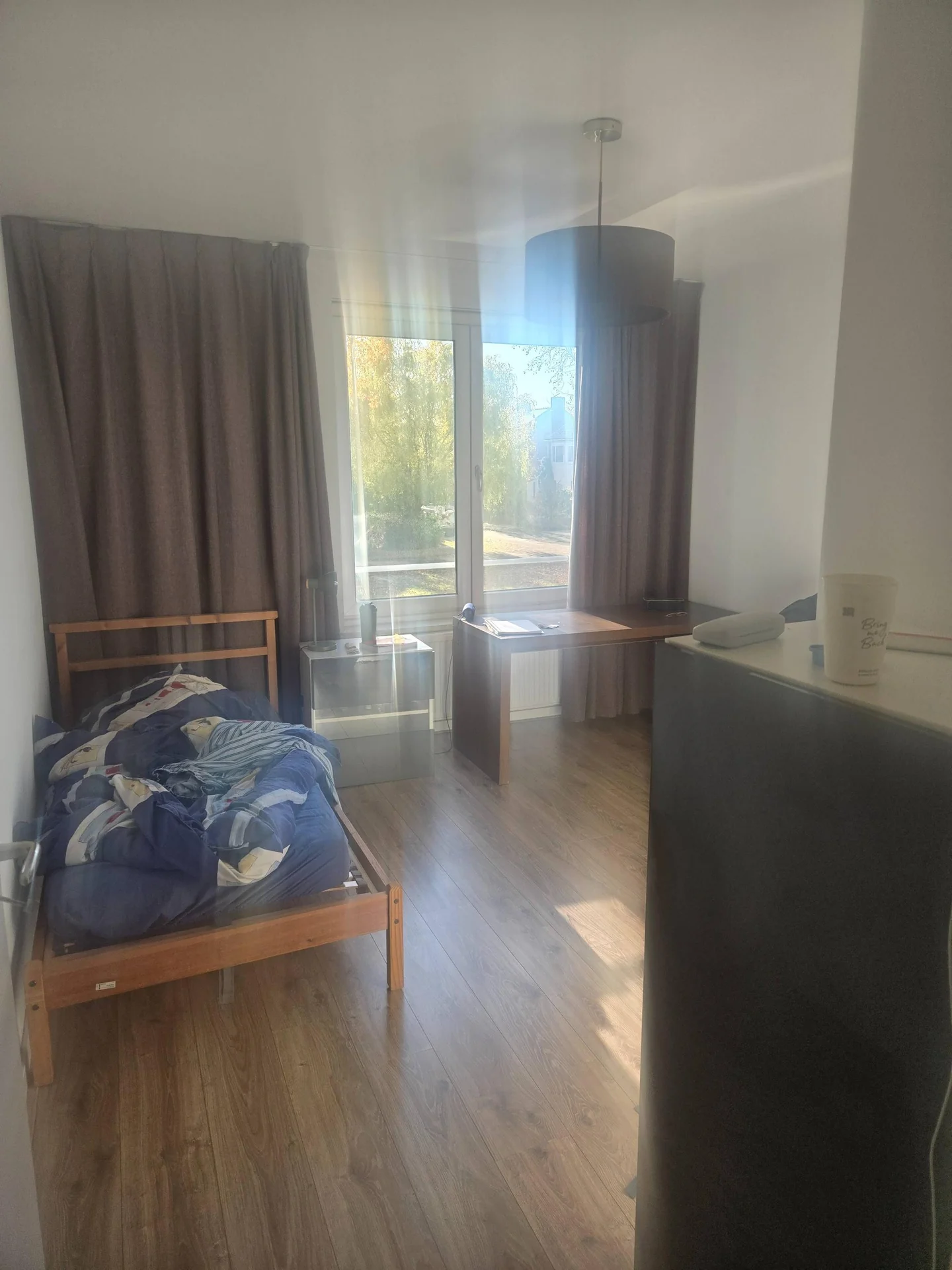 geblurde versie van de foto als achtergrond