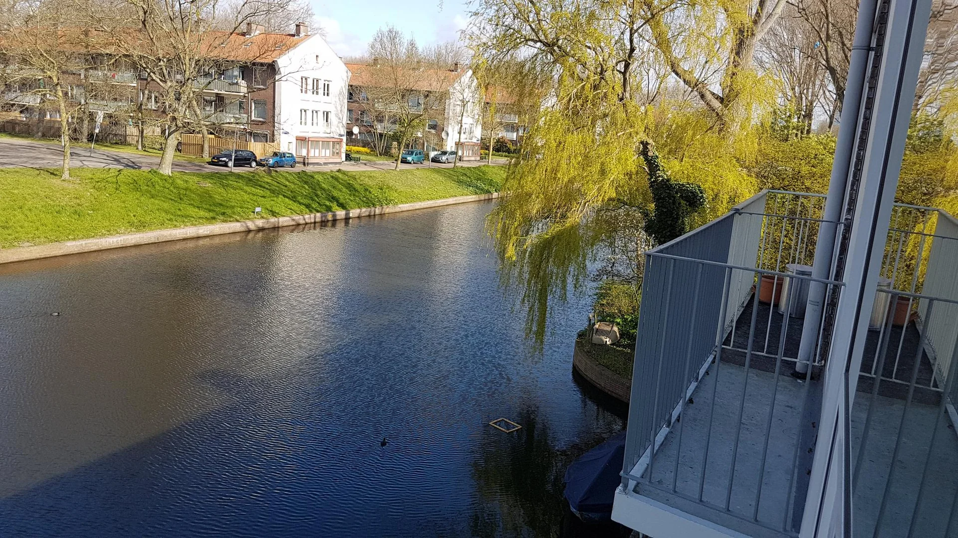 geblurde versie van de foto als achtergrond