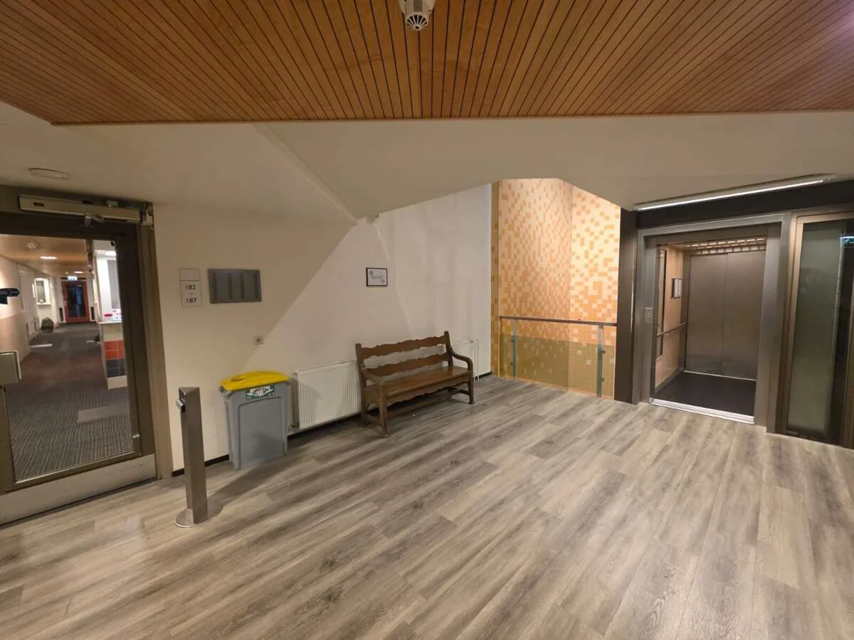 geblurde versie van de foto als achtergrond