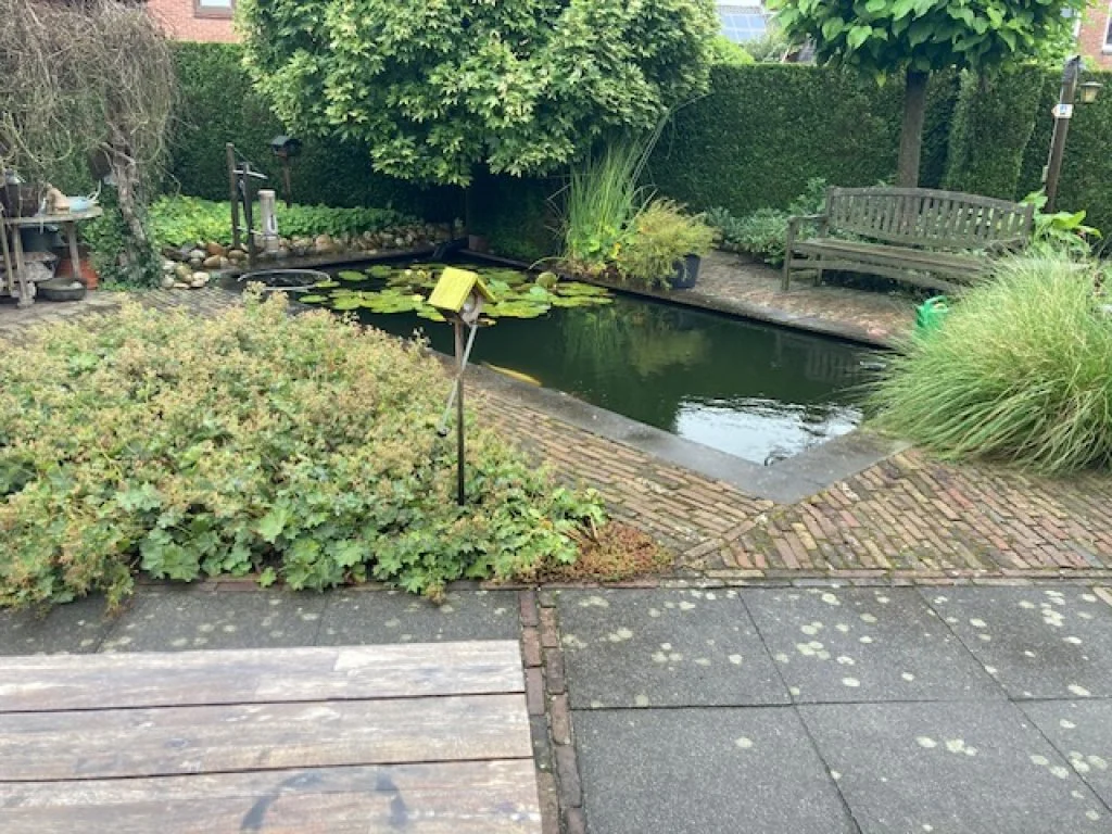 geblurde versie van de foto als achtergrond