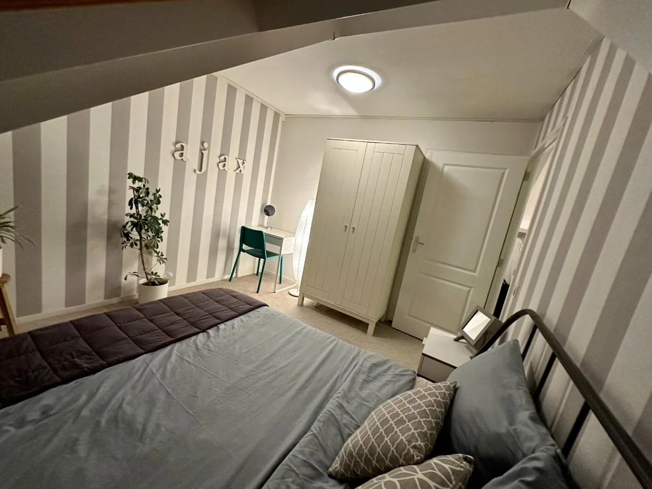 geblurde versie van de foto als achtergrond