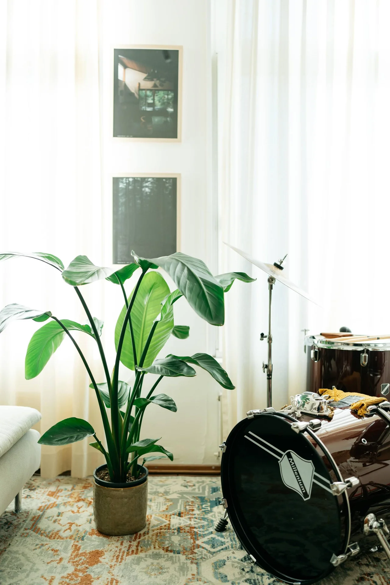 geblurde versie van de foto als achtergrond