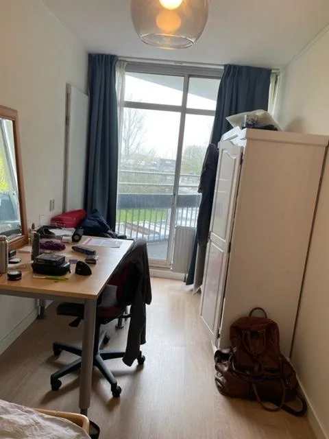 geblurde versie van de foto als achtergrond