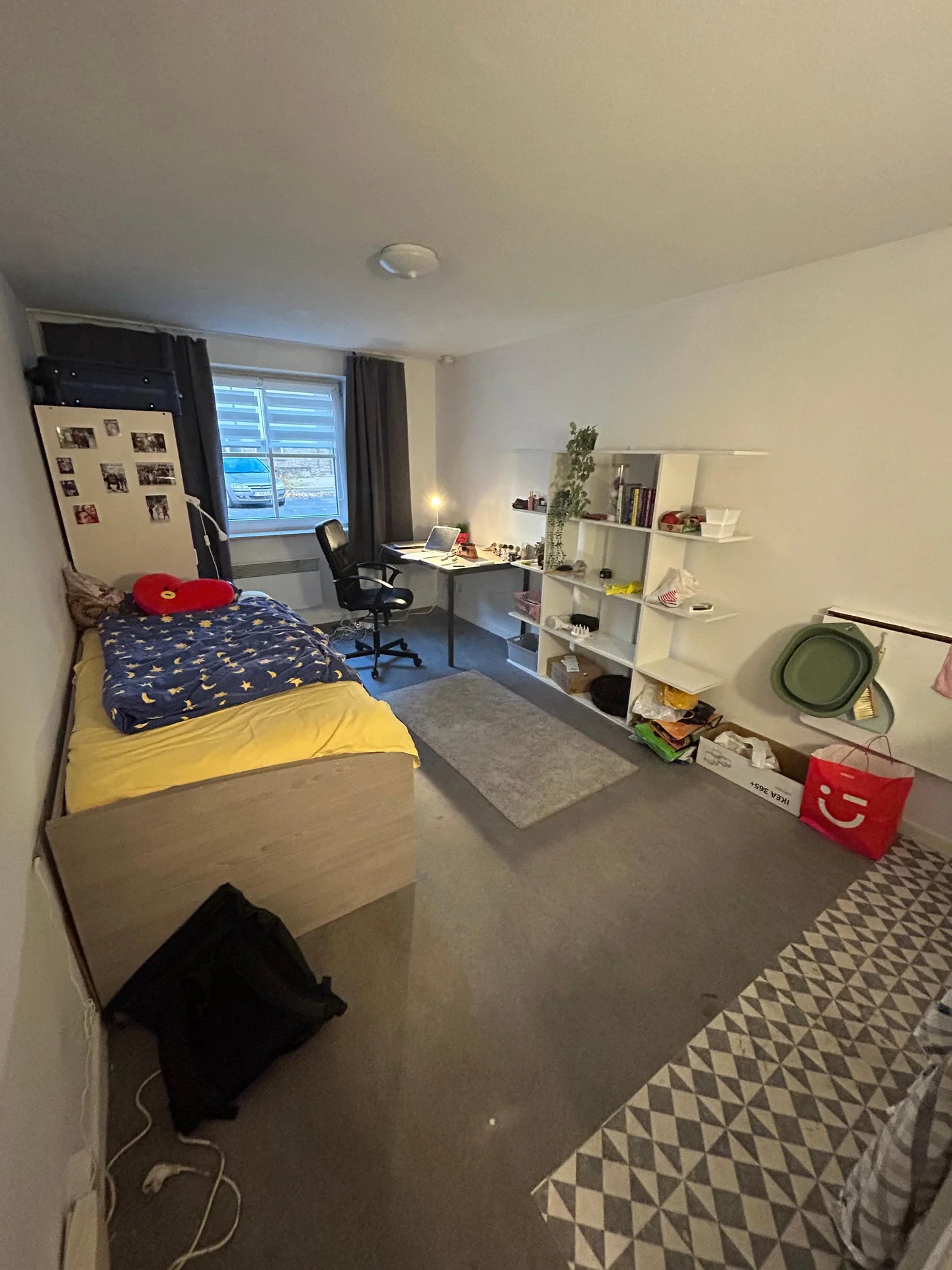 geblurde versie van de foto als achtergrond