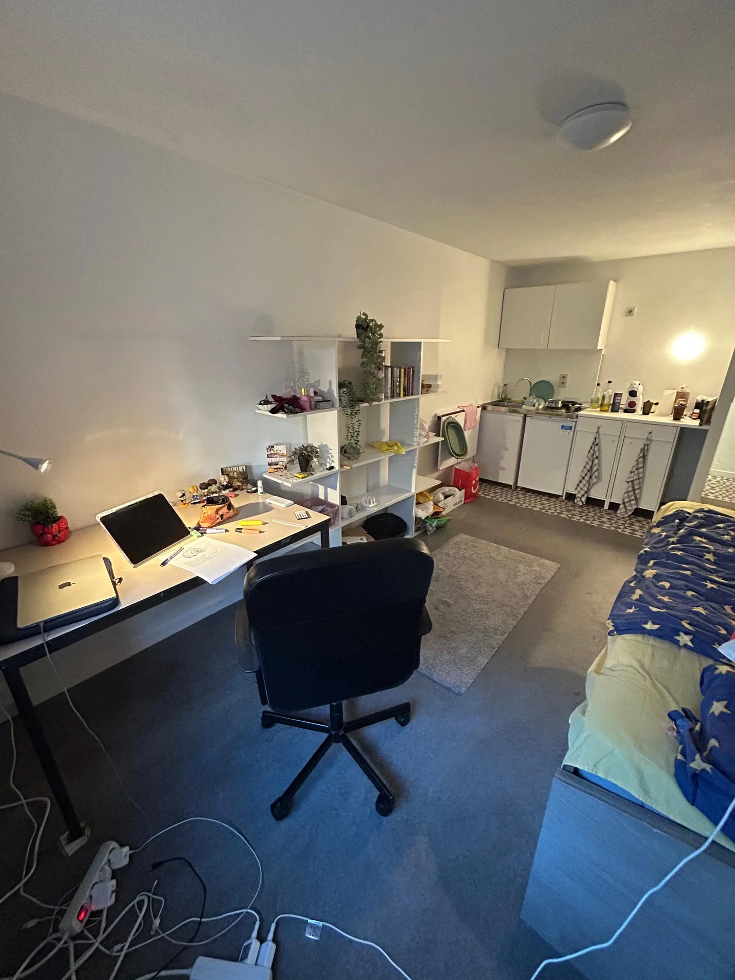 geblurde versie van de foto als achtergrond