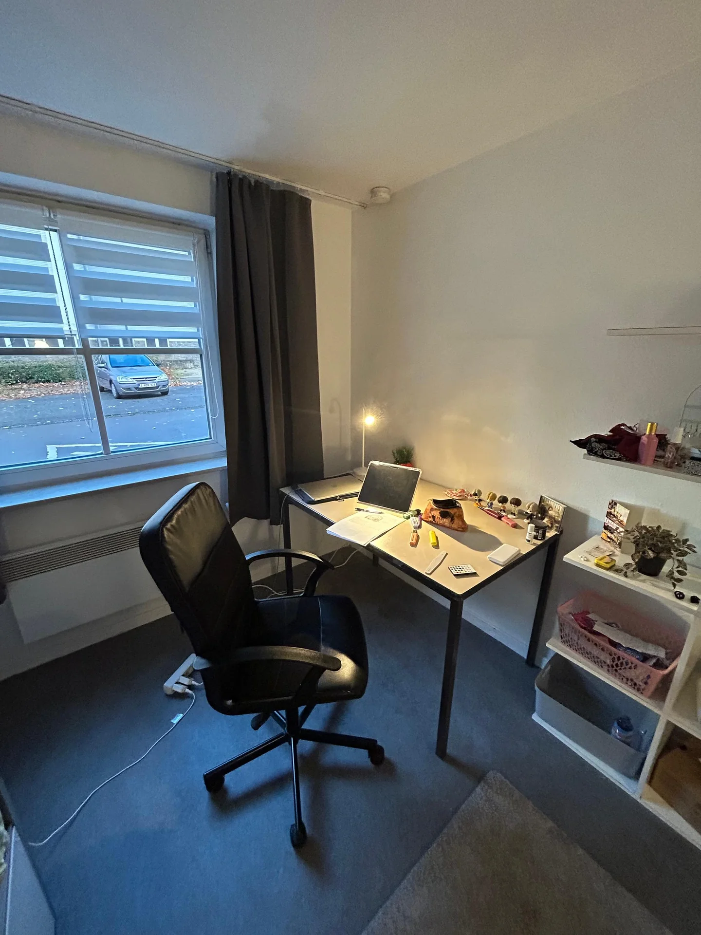 geblurde versie van de foto als achtergrond