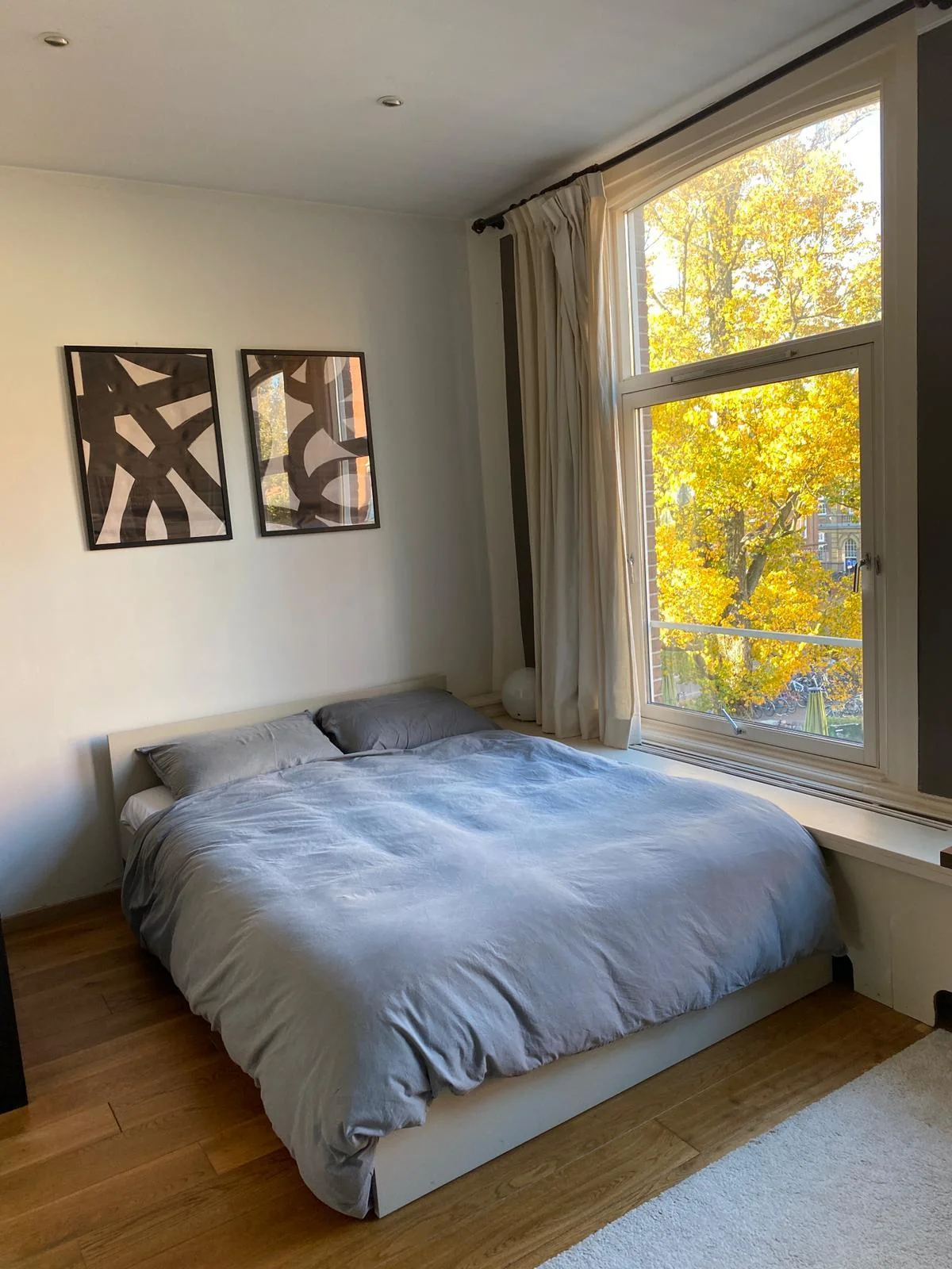 geblurde versie van de foto als achtergrond