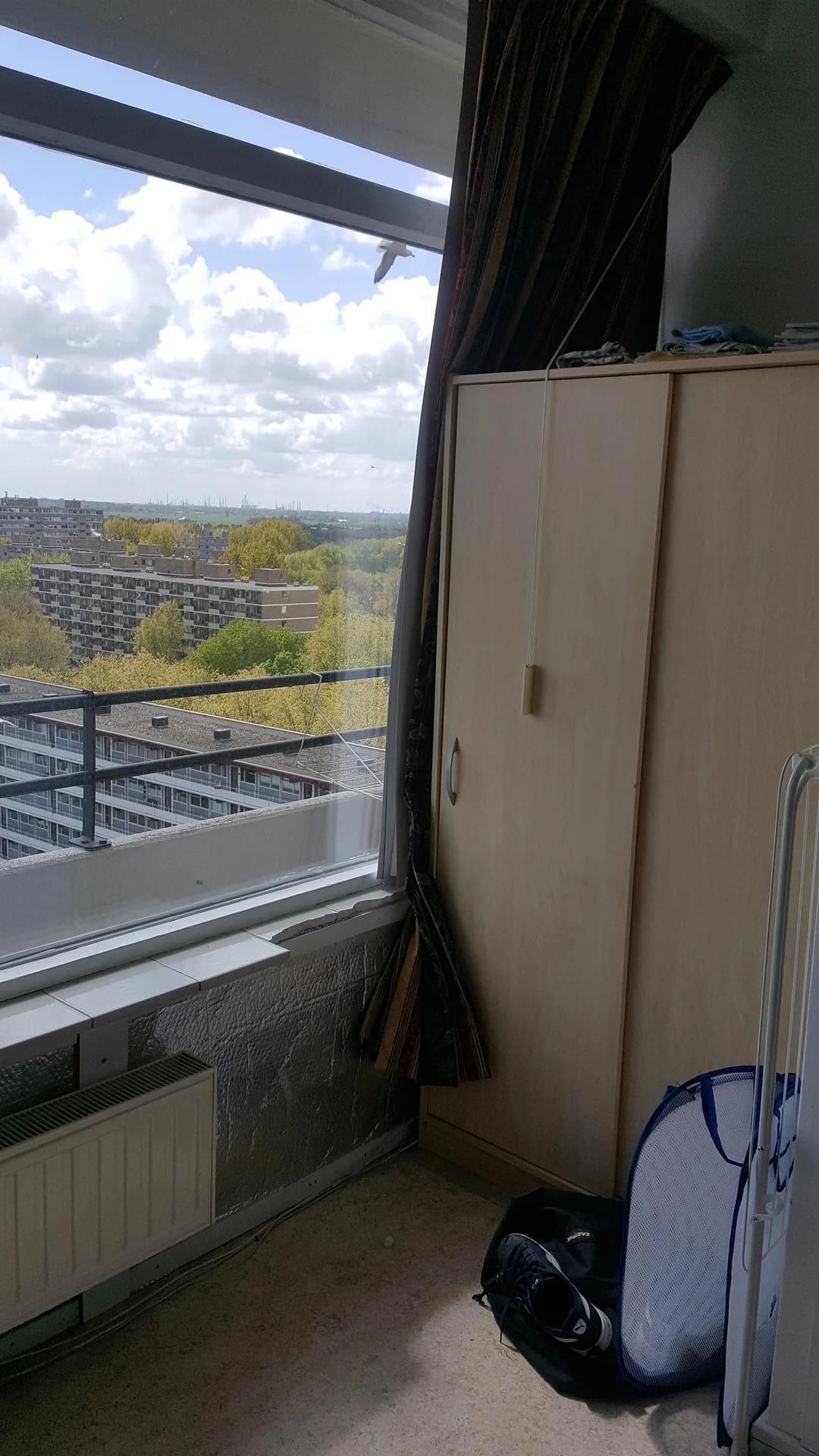 geblurde versie van de foto als achtergrond