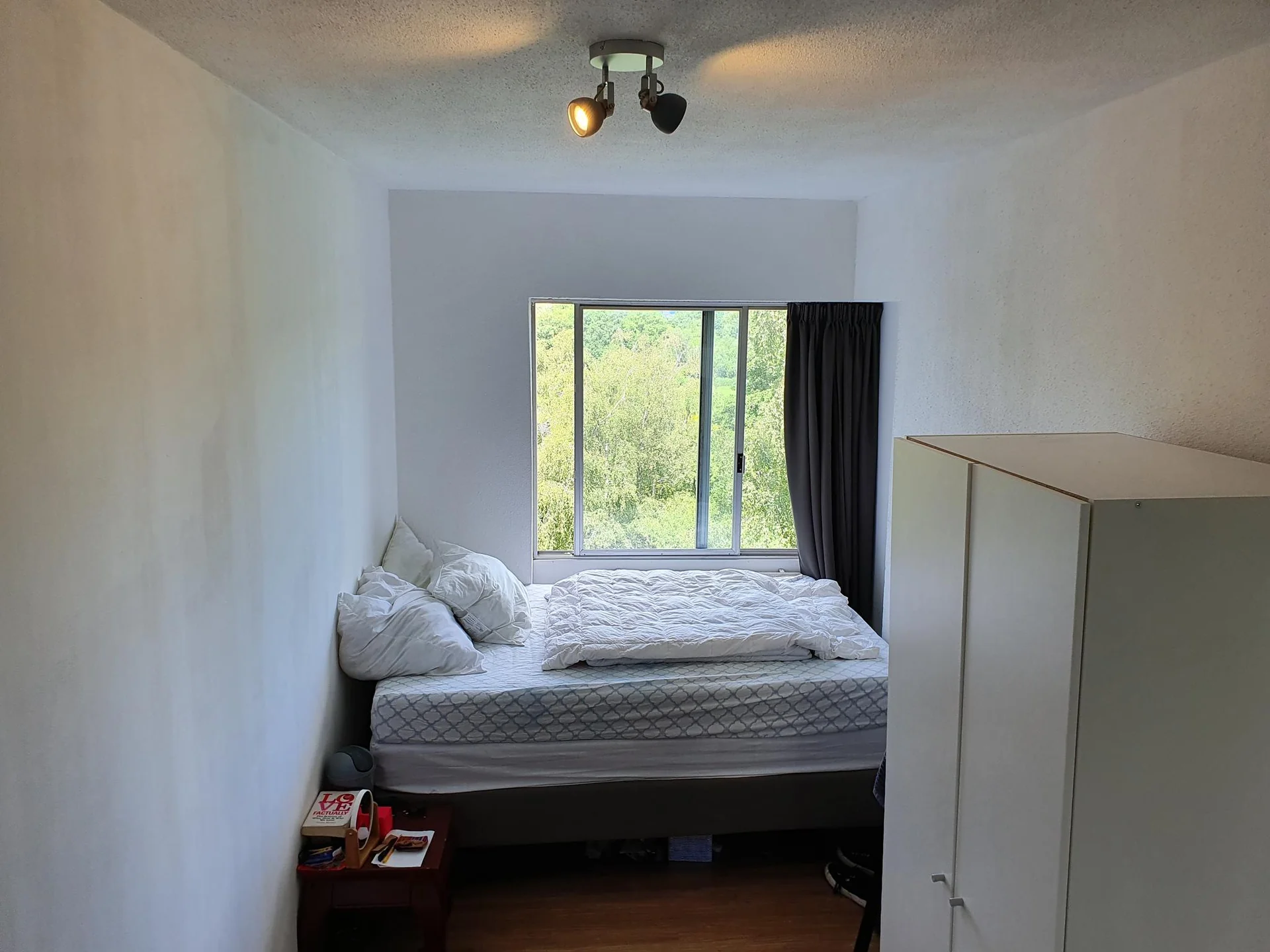 geblurde versie van de foto als achtergrond