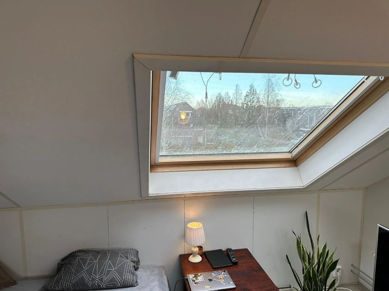 geblurde versie van de foto als achtergrond