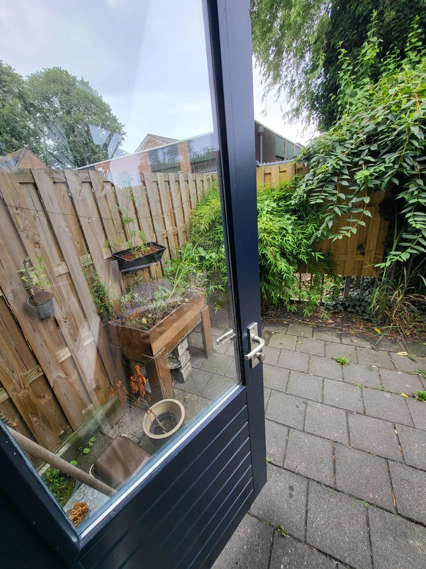 geblurde versie van de foto als achtergrond