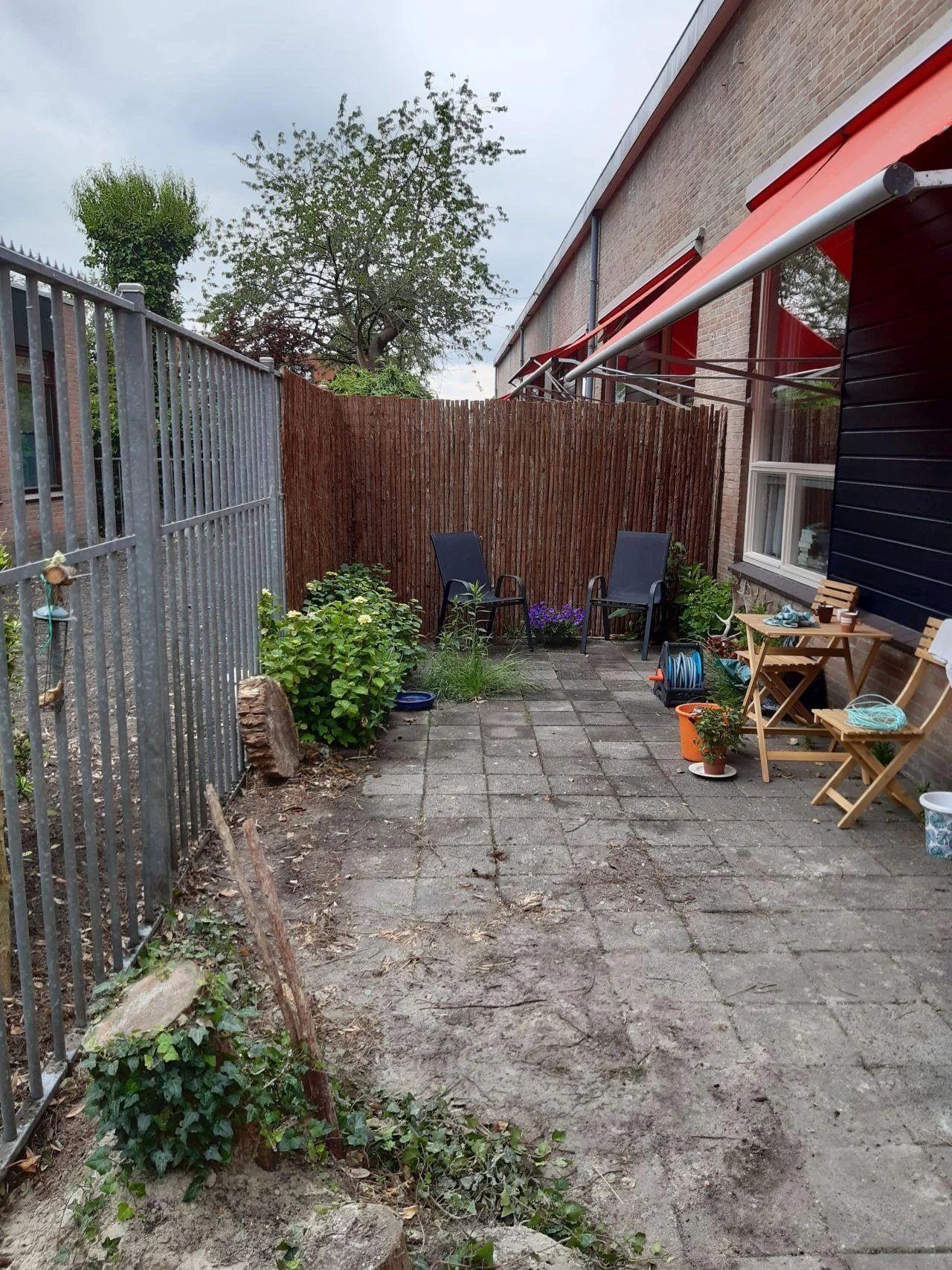 geblurde versie van de foto als achtergrond