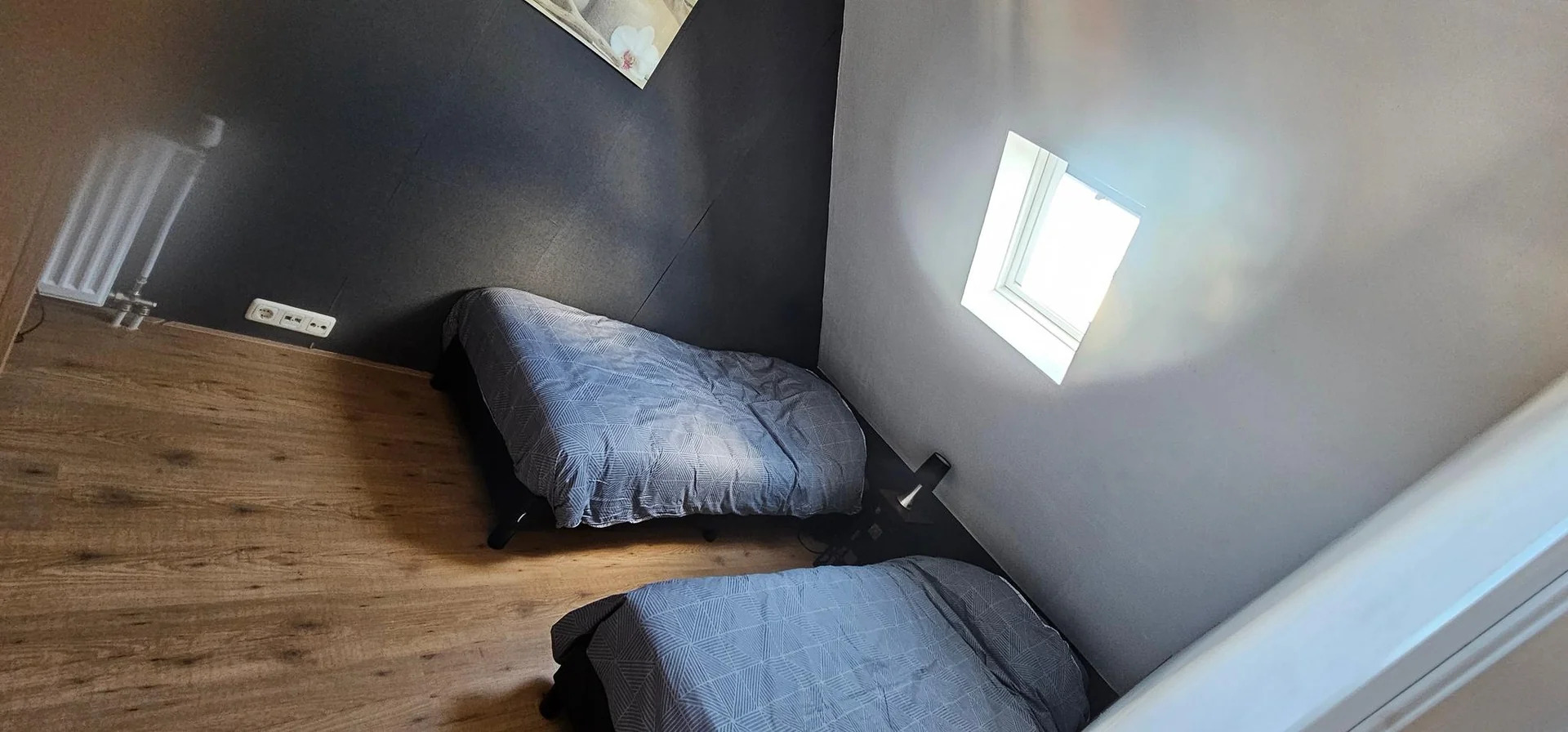 geblurde versie van de foto als achtergrond