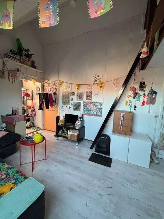 geblurde versie van de foto als achtergrond