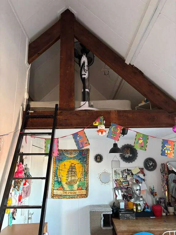 geblurde versie van de foto als achtergrond