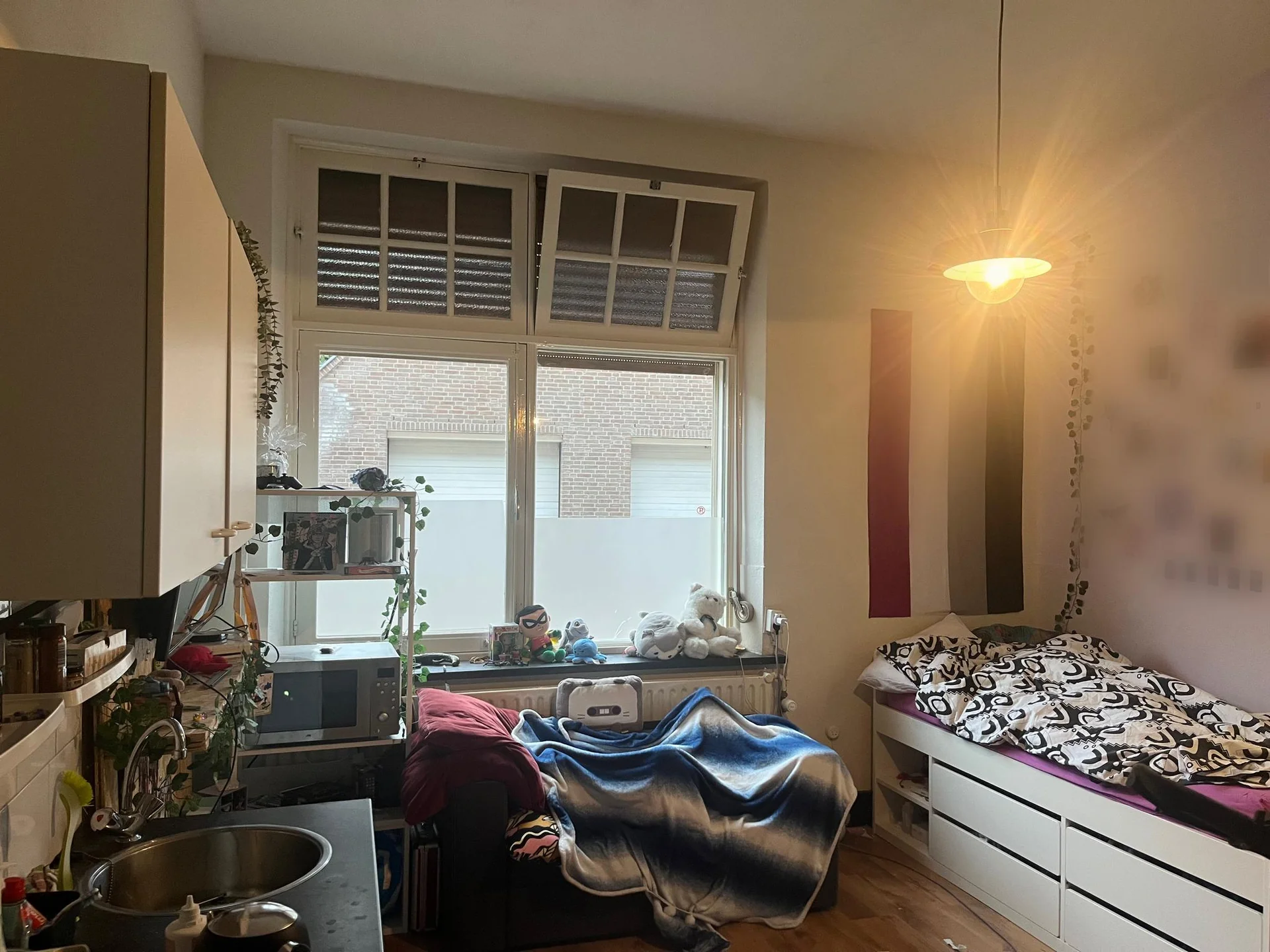 geblurde versie van de foto als achtergrond