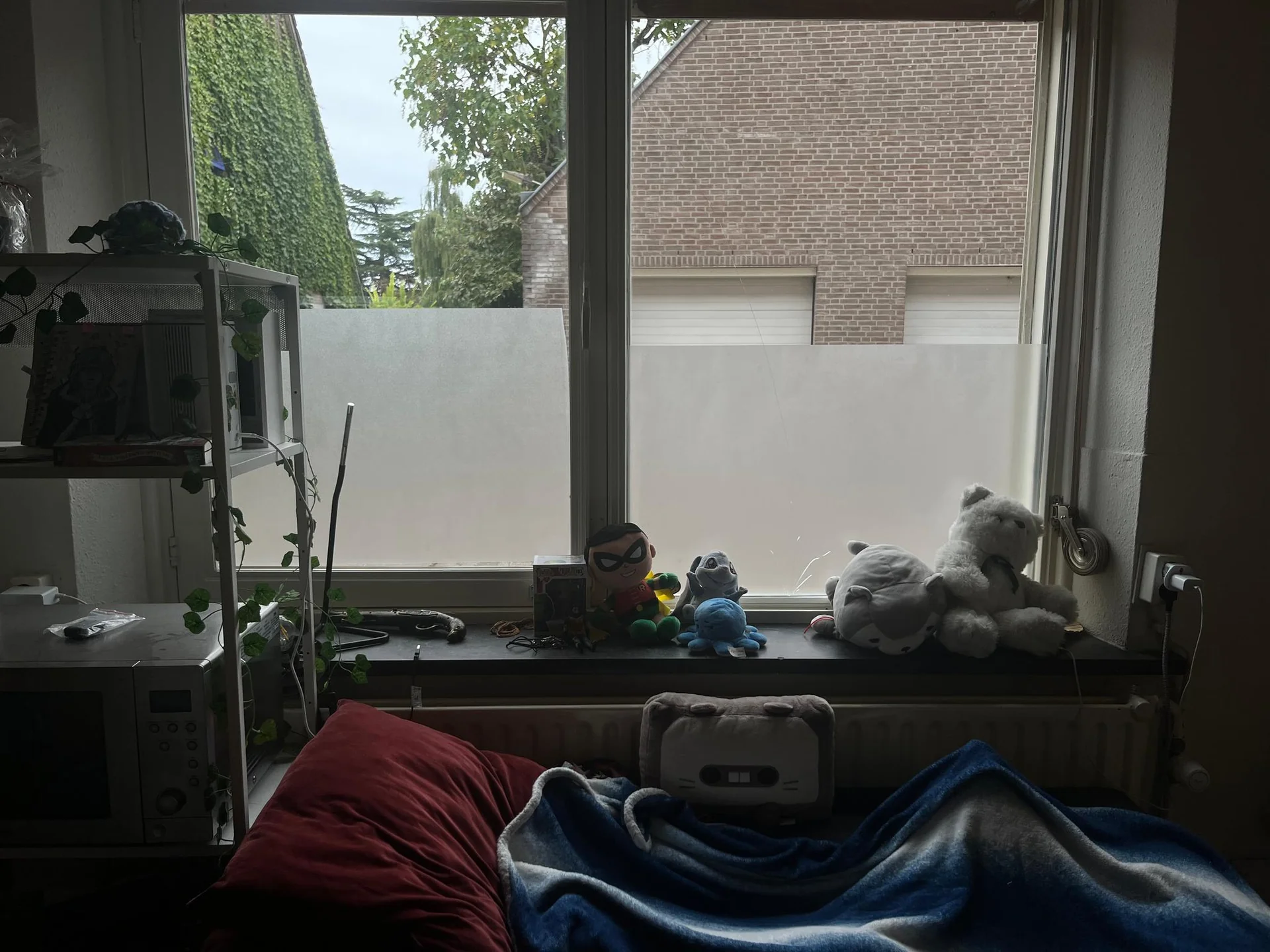 geblurde versie van de foto als achtergrond