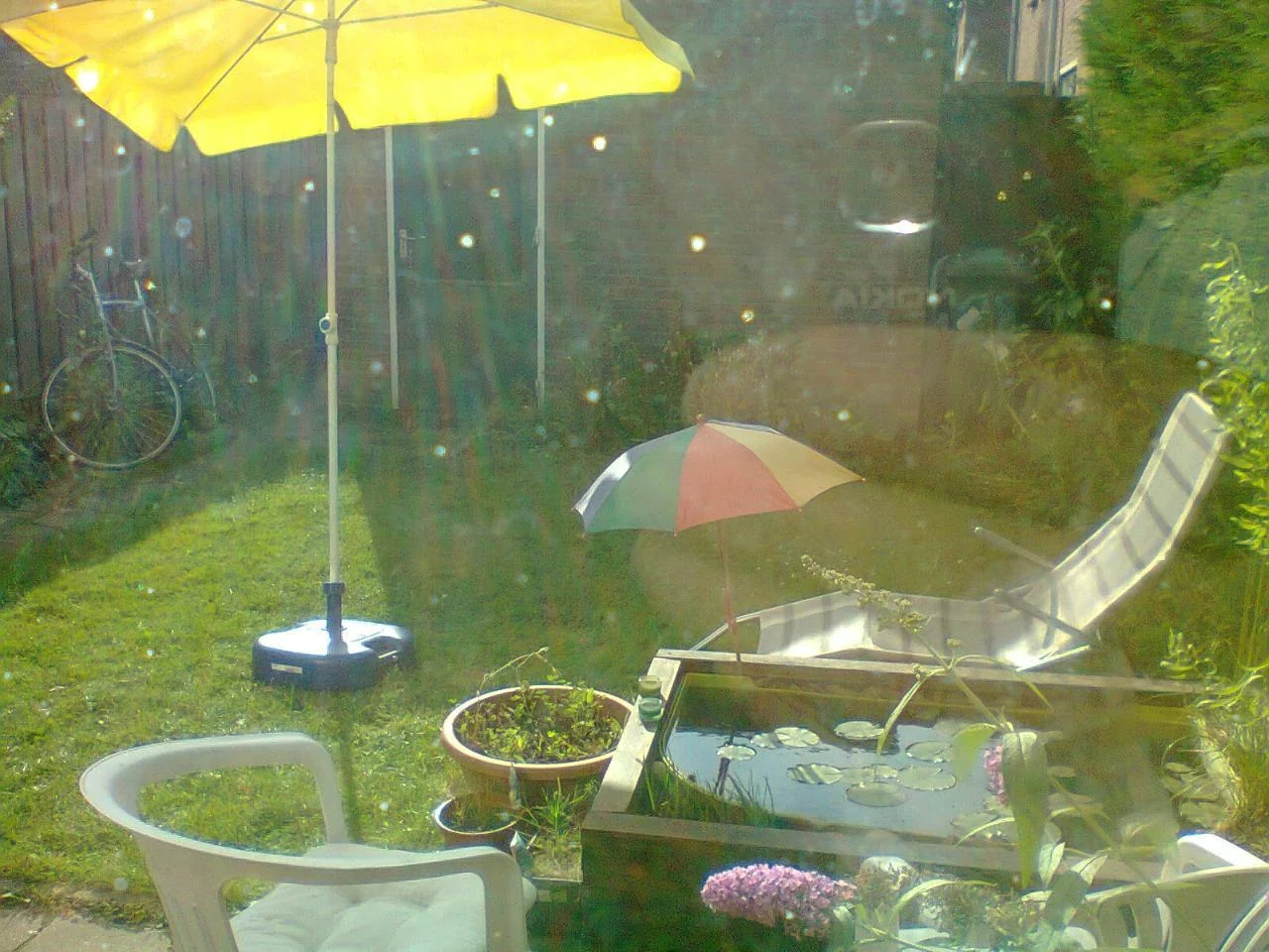 geblurde versie van de foto als achtergrond