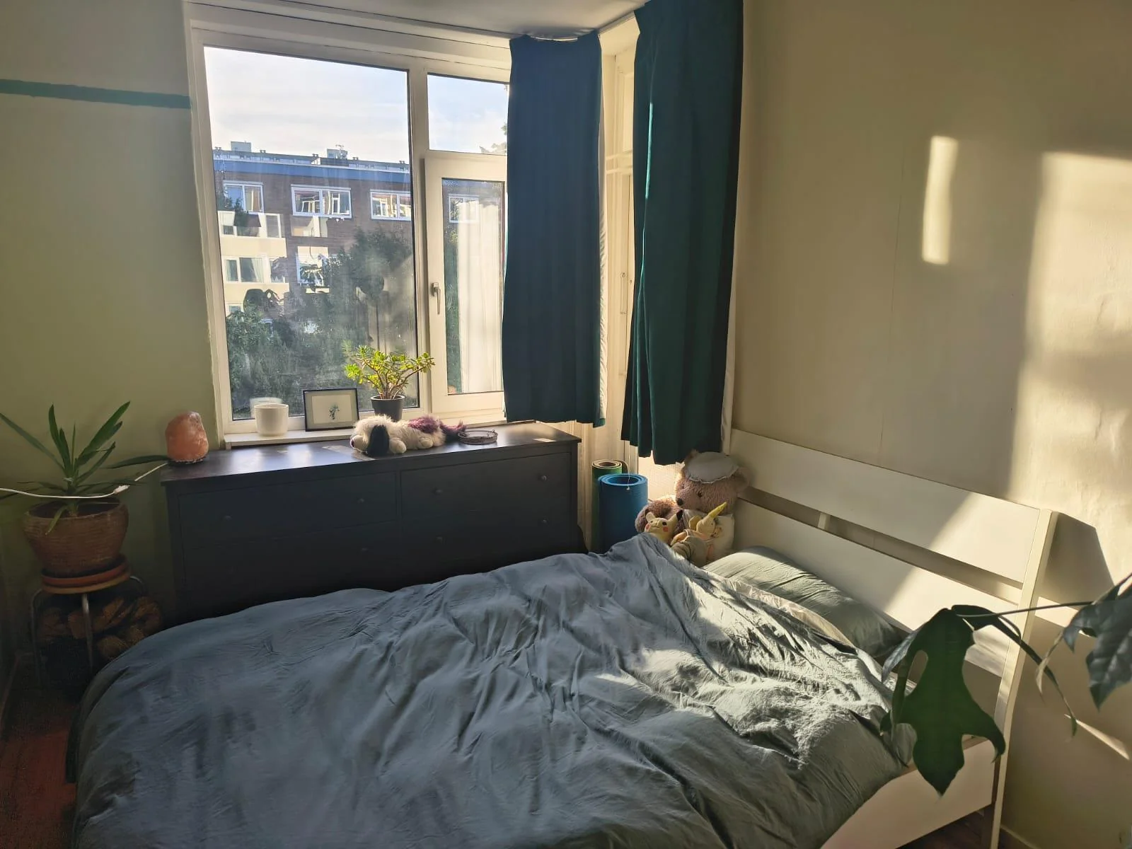 geblurde versie van de foto als achtergrond