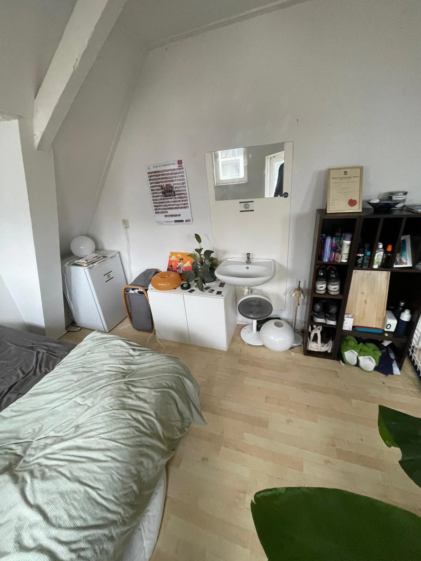 geblurde versie van de foto als achtergrond