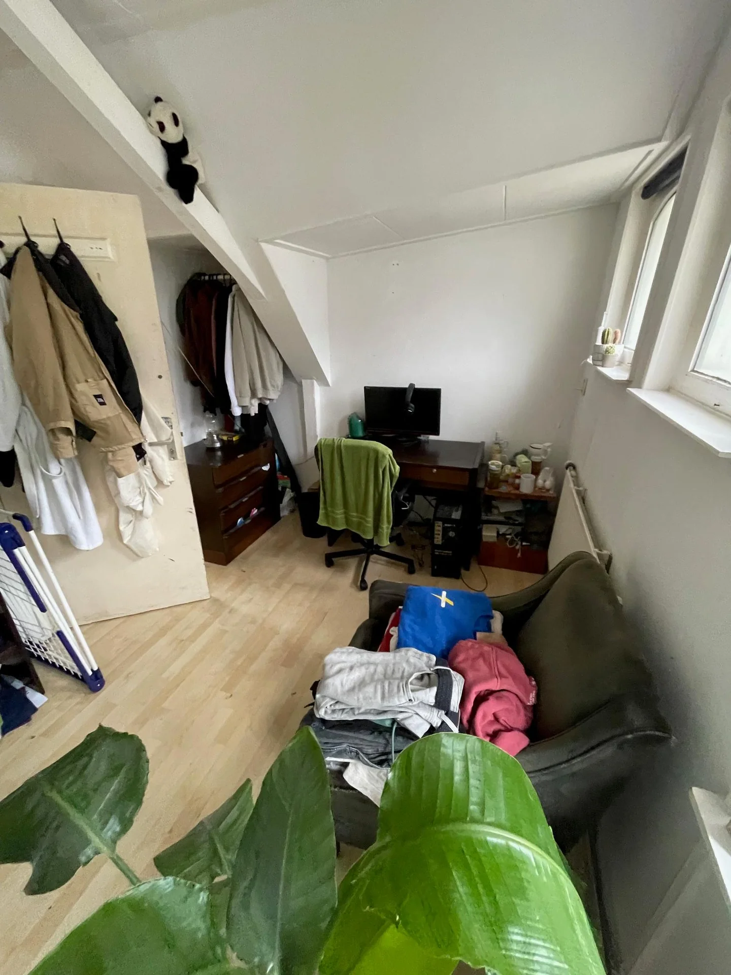 geblurde versie van de foto als achtergrond