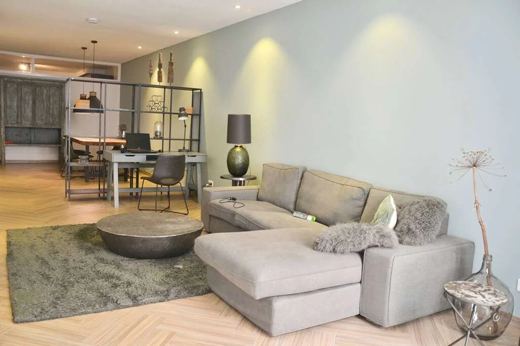 geblurde versie van de foto als achtergrond