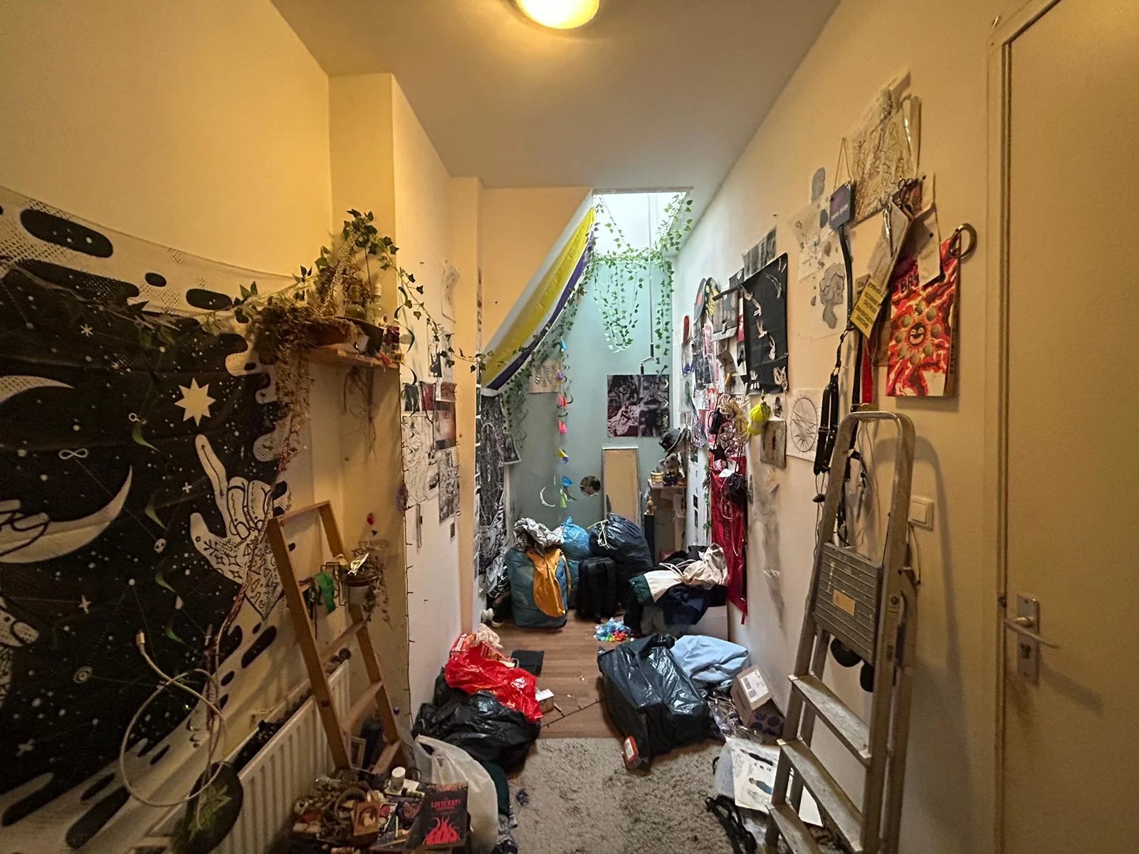 geblurde versie van de foto als achtergrond